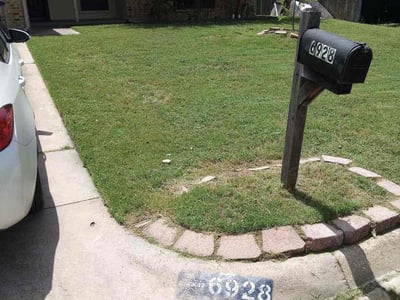 Lawn Care service in Forest Hill, 76140