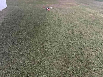 Lawn Care service in Leland, 28451
