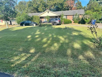 Lawn Care service in Spring Hill, 37174