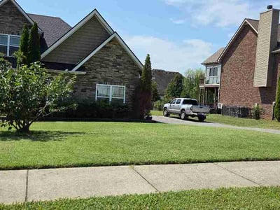 Lawn Care service in Spring Hill, 37174