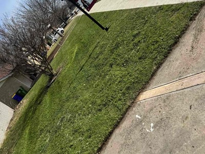 Lawn Care service in Colleyville, 76034