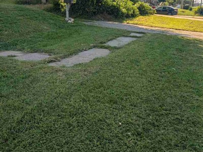 Lawn Care service in Roeland Park, 65401
