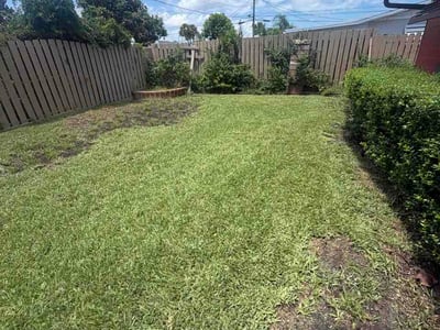 Lawn Care service in Daytona Beach, 32114