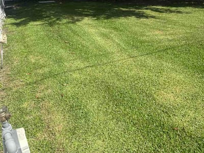 Lawn Care service in West Monroe, 71291