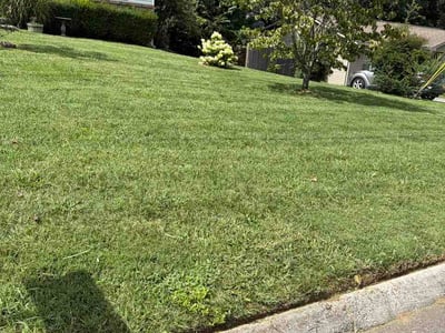 Lawn Care service in Clinton, 37716