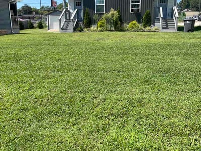 Lawn Care service in Clinton, 37716