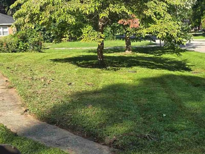 Lawn Care service in Clarksville, 47129