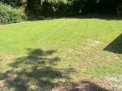 Lawn Care service in Sunset Beach, 28468