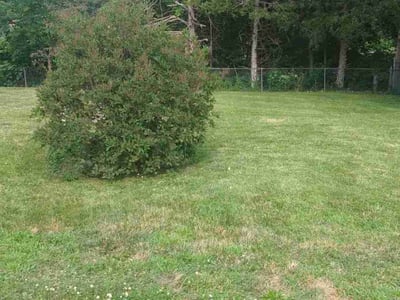Lawn Care service in West Covina, 91790