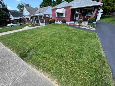 Lawn Care service in Trenton, 08608