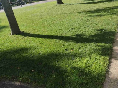 Lawn Care service in Saint Cloud, 56301