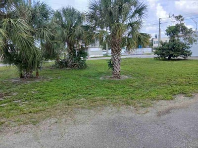 Lawn Care service in Bradenton, 34205