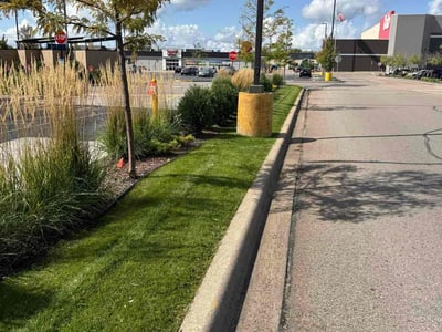 Lawn Care service in Richfield, 55423