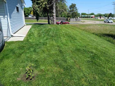 Lawn Care service in Richfield, 55423