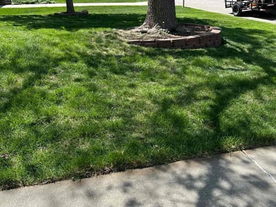 Lawn Care service in Prairie Village, 66208