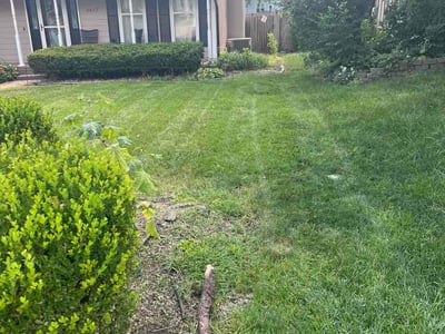 Lawn Care service in Prairie Village, 66208