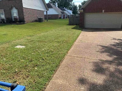 Lawn Care service in Senatobia, 38668