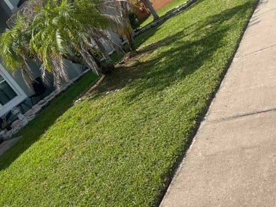 Lawn Care service in St Cloud, 34769