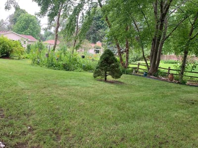 Lawn Care service in Eagan, 55123