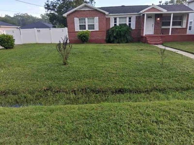 Lawn Care service in Jacksonville, 32202