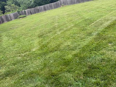 Lawn Care service in Traverse City, 49684