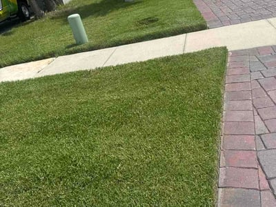 Lawn Care service in Tavares, 32778
