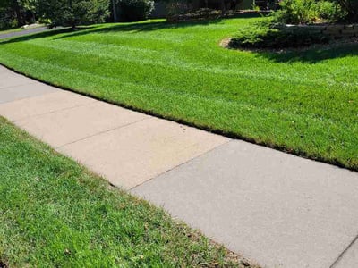Lawn Care service in Brooklyn Center, 55429