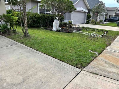Lawn Care service in Atlantic Beach, 32233