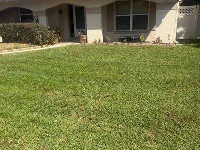 Lawn Care service in Casselberry, 32707