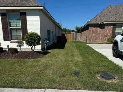 Lawn Care service in Willimantic, 06226