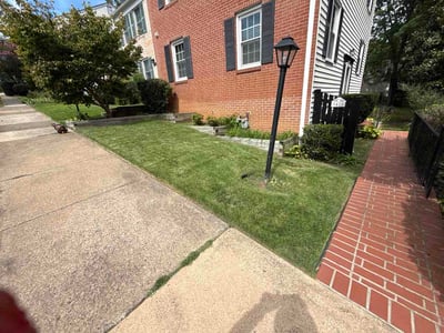 Lawn Care service in Burke, 22009