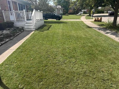 Lawn Care service in Lansing, 48933