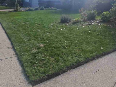 Lawn Care service in Plymouth, 48170