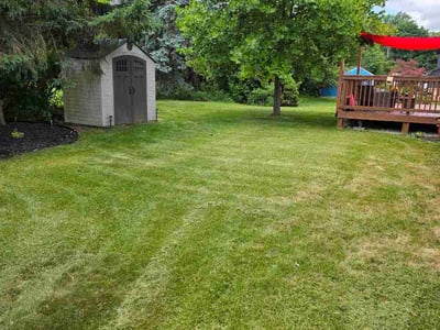 Lawn Care service in Plymouth, 48170