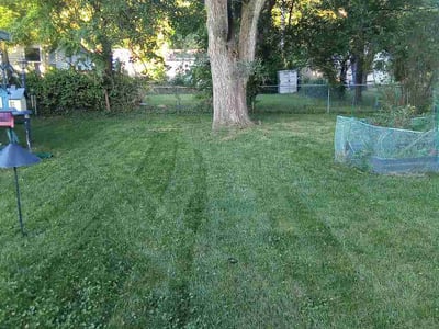 Lawn Care service in Excelsior Springs, 64024