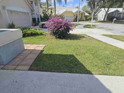 Lawn Care service in Deerfield Beach, 33441