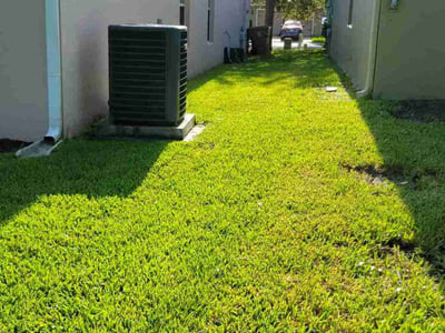 Lawn Care service in Davenport, 33837
