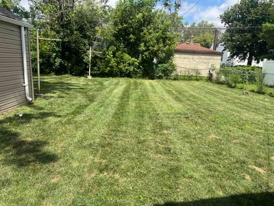 Lawn Care service in Warren, 48093