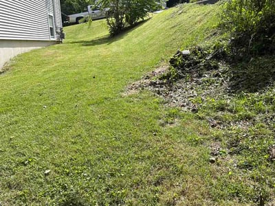 Lawn Care service in Hamden, 06518