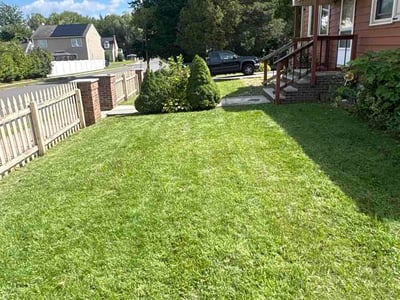 Lawn Care service in Southington, 06489