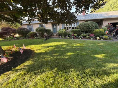 Lawn Care service in Southington, 06489