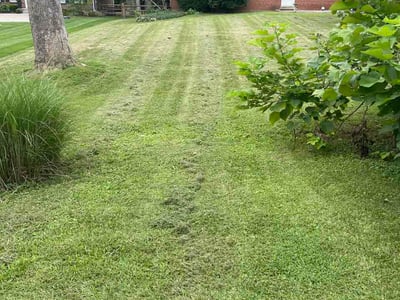 Lawn Care service in Gainesville, 20155