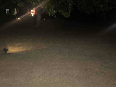 Lawn Care service in Middletown, 06457