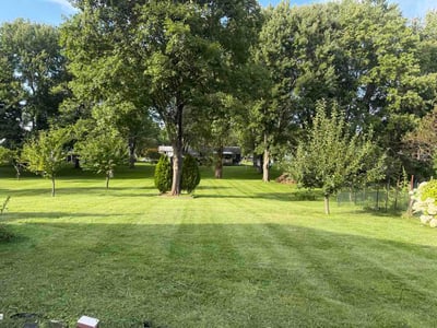 Lawn Care service in Middletown, 06457
