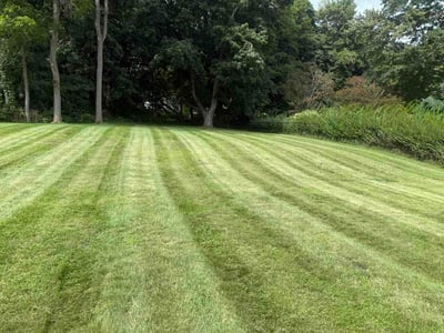 Lawn Care service in Middletown, 06457