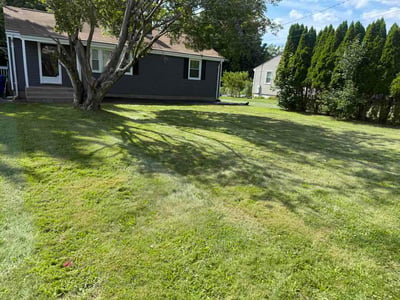 Lawn Care service in Middletown, 06457
