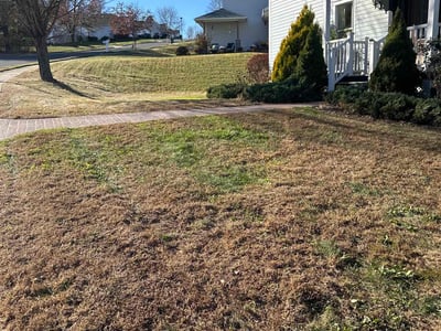 Lawn Care service in Middletown, 06457