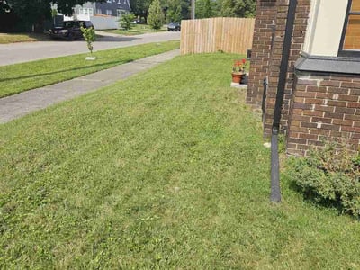 Lawn Care service in Grosse Pointe, 48230