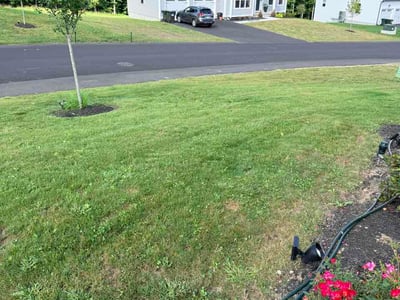 Lawn Care service in Spencer, 01562