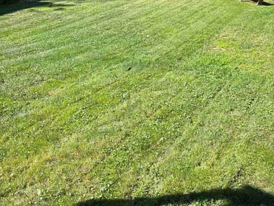 Lawn Care service in Spencer, 01562